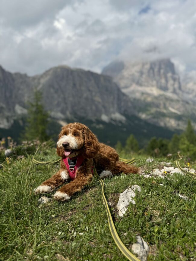 received_2008835356250381