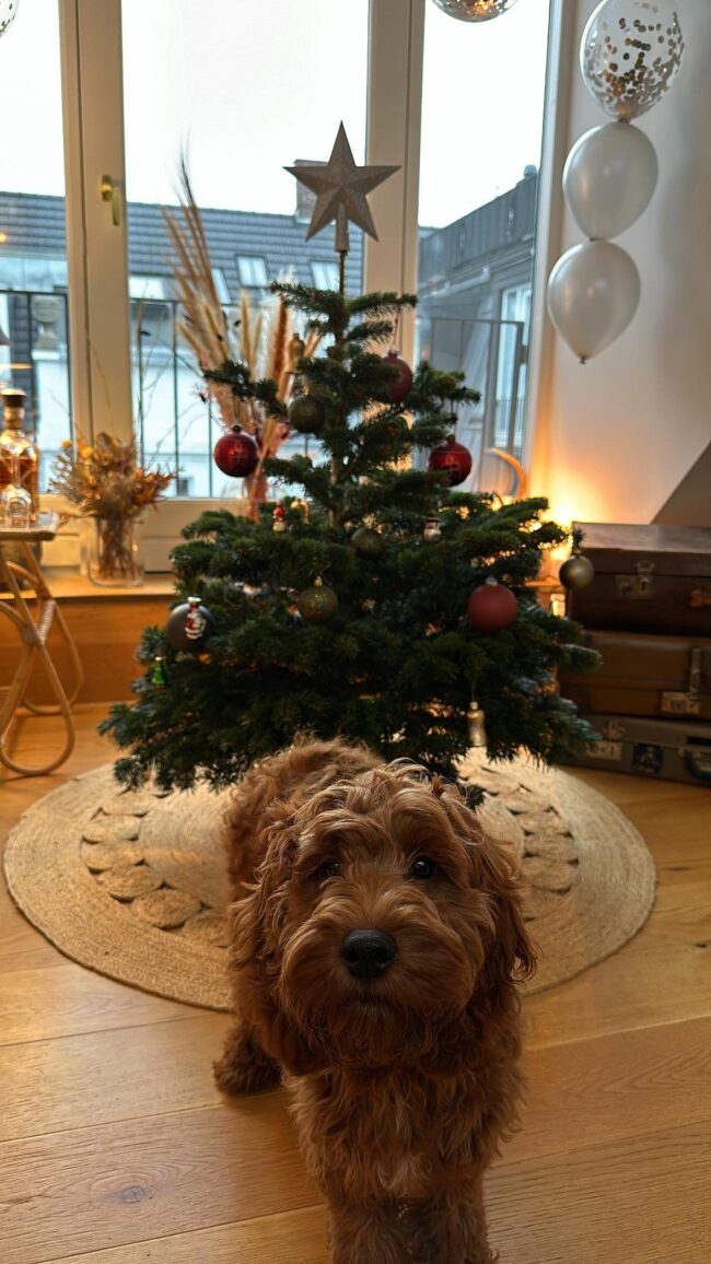 received_329771136565289